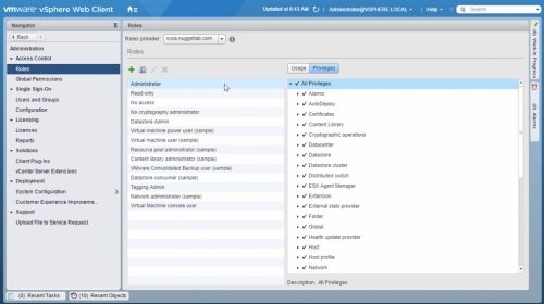 Create vCenter Role -06